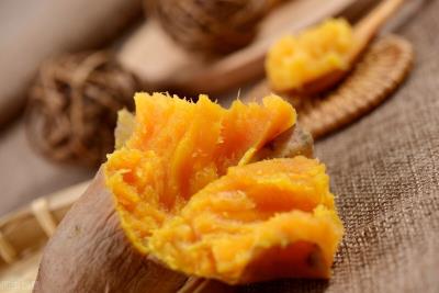 狗狗能吃胡萝卜吗(为什么经常给狗狗吃胡萝卜)