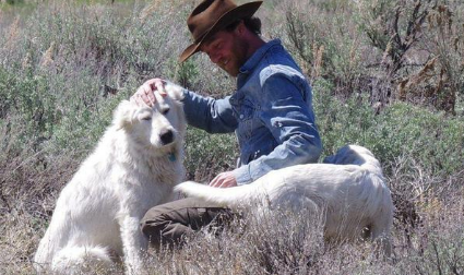 不要再管那些狗，它们是牧羊犬！主人简直被无知游客气死！