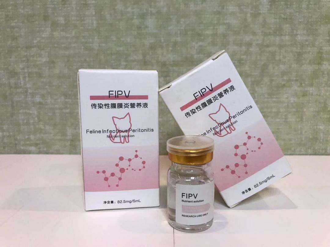 猫腹水有什么最好的办法治疗(腹水怎么快速排出体外)