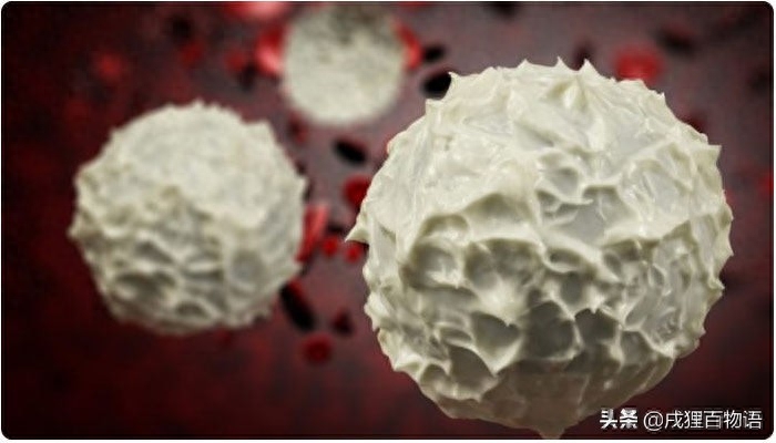 怎么判断是不是猫瘟（附：主人可以通过几个方式来判定）