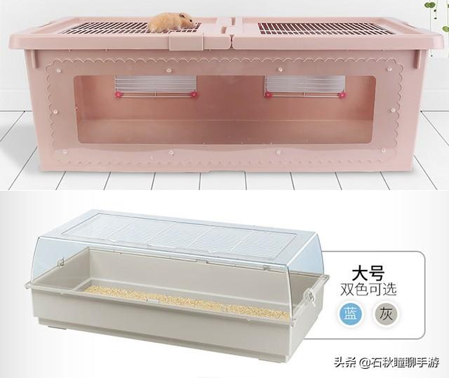 仓鼠会嫌弃笼子小而生气吗(详解:让仓鼠感到舒服的动作)