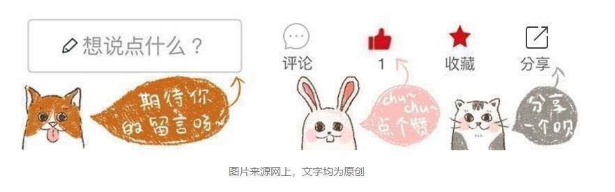 训练狗狗技巧和方法(幼犬认主训练需要四个月的时间)