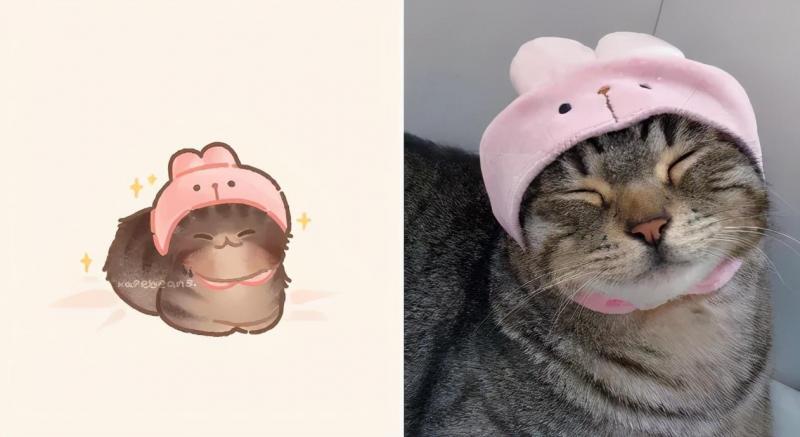 治愈人的猫咪图片合集（盘点抖音最火的猫猫头像）