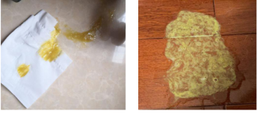 小狗打嗝是不是细小前兆（小狗得细小在家自救的方法）