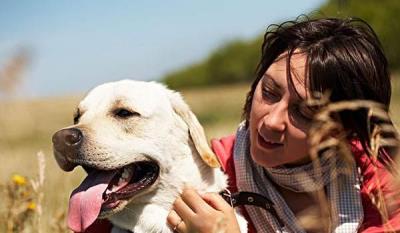 狗在危险的时候真的会保护主人吗（主人蹲下对狗狗的意义）