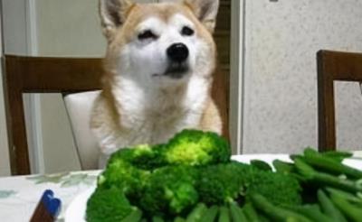 狗狗可以吃红薯吗(狗狗可以吃的这些蔬果)