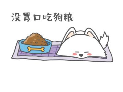 狗狗挑食怎么办