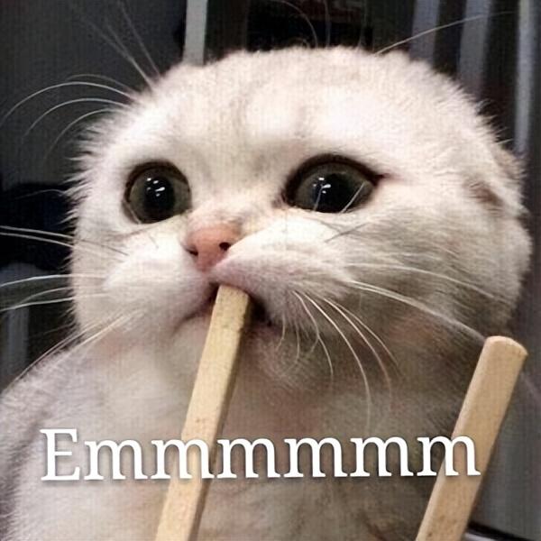 极品贵族猫咪品种