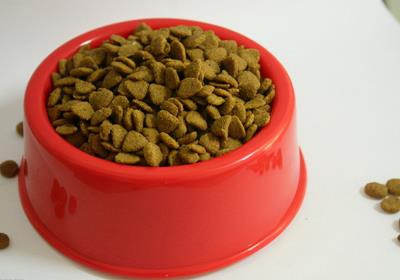 狗狗刚到家拉稀呕吐（狗狗上吐下泻吃什么药效果好）