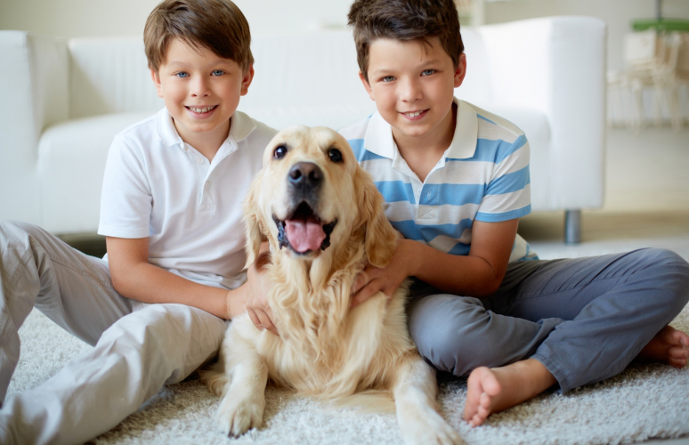 狗的口水有毒吗（附：宠物的口水也许和你想的不太一样）