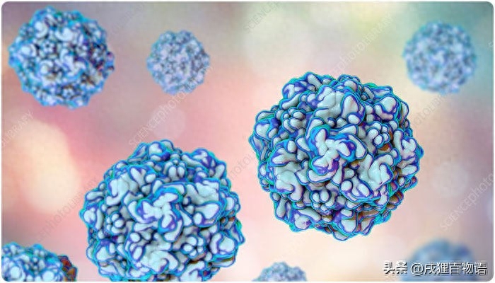 怎么判断是不是猫瘟（附：主人可以通过几个方式来判定）