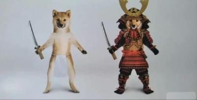 狗多大打疫苗(狗子疫苗怎么打)