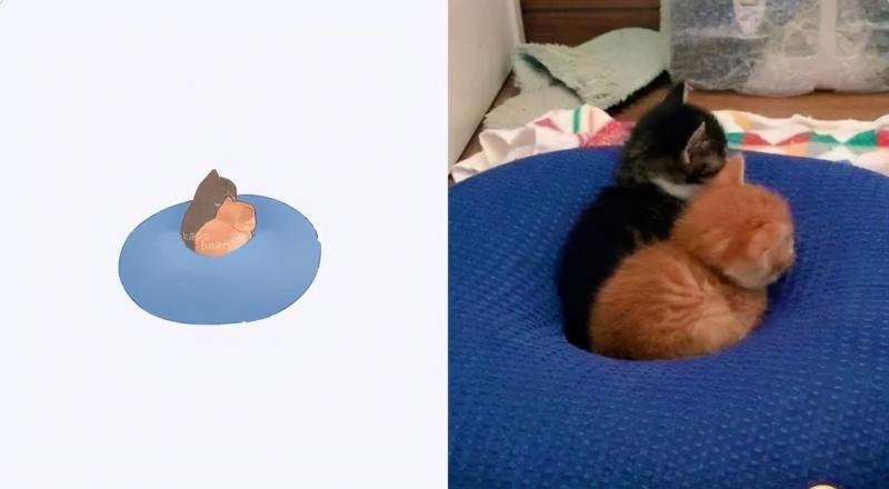 治愈人的猫咪图片合集（盘点抖音最火的猫猫头像）