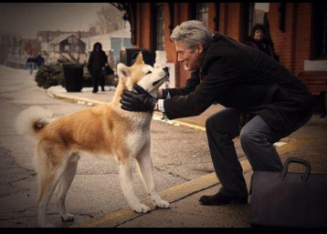 五种最忠心的狗狗推荐（最护主的狗是什么品种）