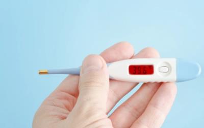 狗狗流鼻涕吃什么药好得快(泰迪狗流鼻涕吃什么药)