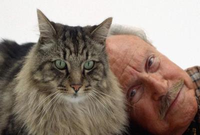 成年猫粮幼猫可以吃吗（猫咪多大算成年呢）