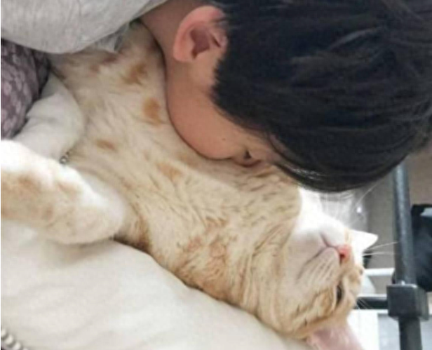 猫知道人在亲她吗（附：猫咪眼中主人的“亲吻”是恐惧）