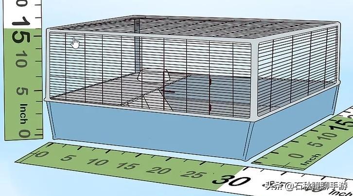 仓鼠会嫌弃笼子小而生气吗(详解:让仓鼠感到舒服的动作)
