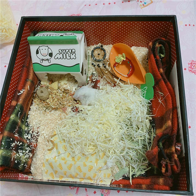 仓鼠离世前与主人的告别（附：仓鼠临死前的征兆）