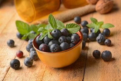 狗狗能吃哈密瓜吗（给狗狗吃这几种果蔬）