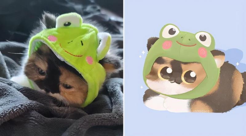 治愈人的猫咪图片合集（盘点抖音最火的猫猫头像）