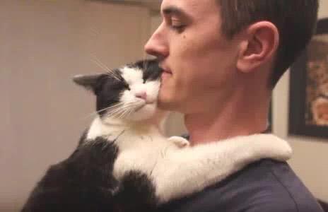 母猫不做绝育会怎么样(母猫不做绝育能活多久)