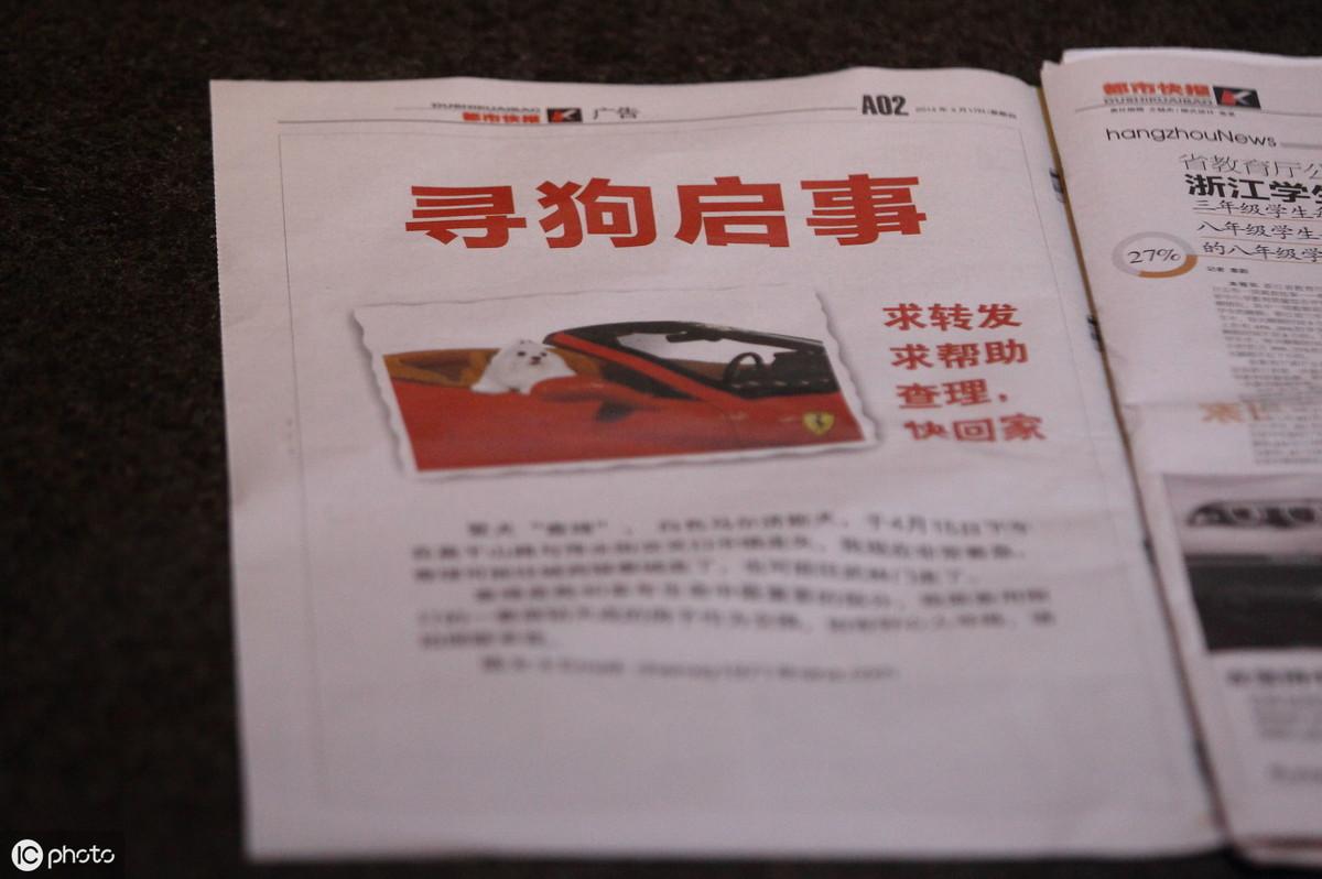 拉布拉多丢了千万别去找(拉布拉多丢了有效找回技巧)