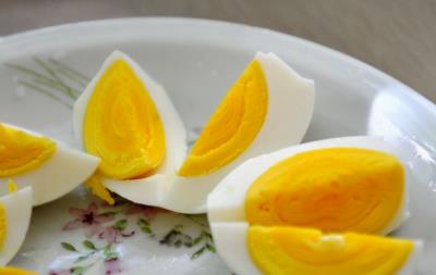 狗狗可以吃玉米吗（狗狗可以吃的15种人类食物）