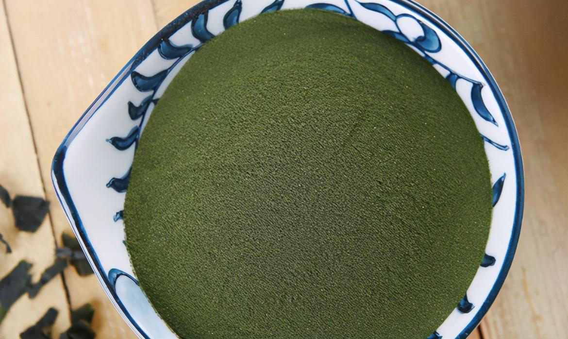 有关约克夏喜欢吃的食物推荐（约克夏犬吃什么）