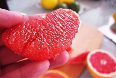 狗狗再馋也不能喂（狗狗能吃多少个圣女果）