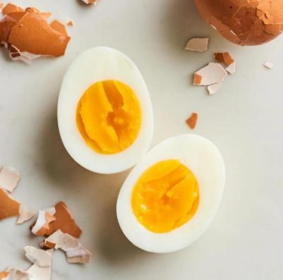 狗狗可以吃蛋黄吗(为什么要给狗狗吃蛋黄)