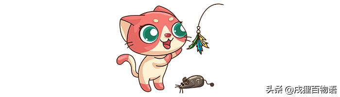 绝育猫咪怎么避免发胖（绝育后的猫要运动及合理膳食）