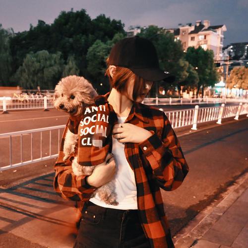 建议养好泰迪的6大攻略（泰迪狗怎么喂养方法）