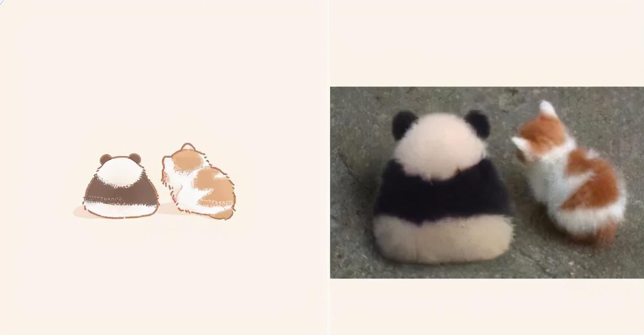 治愈人的猫咪图片合集（盘点抖音最火的猫猫头像）