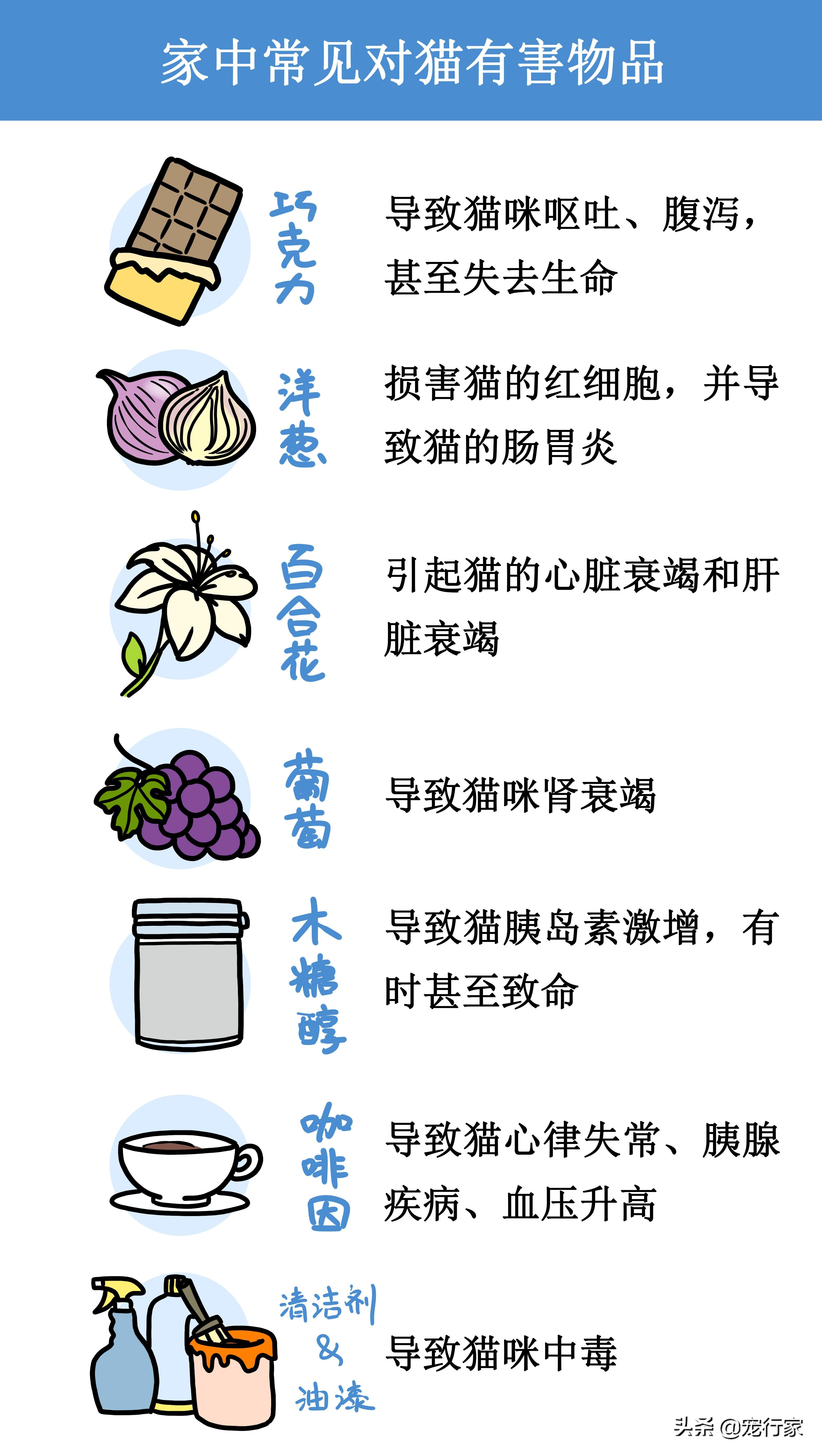 10天小猫没妈妈怎么养（15天左右小猫怎么喂能养活吗）