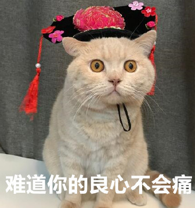 日本田园猫和中华田园猫的区别(日本田园猫和中华田园猫的区别图片)