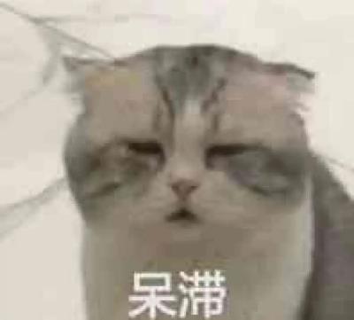 公猫绝育后性格会变吗（为什么我的猫绝育后性情大变）