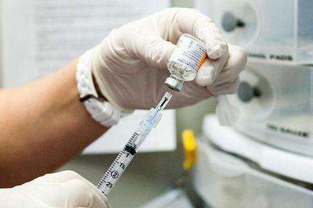 建议养好泰迪的6大攻略（泰迪狗怎么喂养方法）