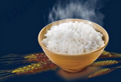 狗狗可以吃玉米吗（狗狗可以吃的15种人类食物）