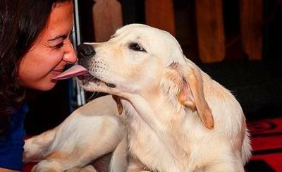 狗狗经常舔哪几个地方（狗狗脚掌缝发红一直舔）