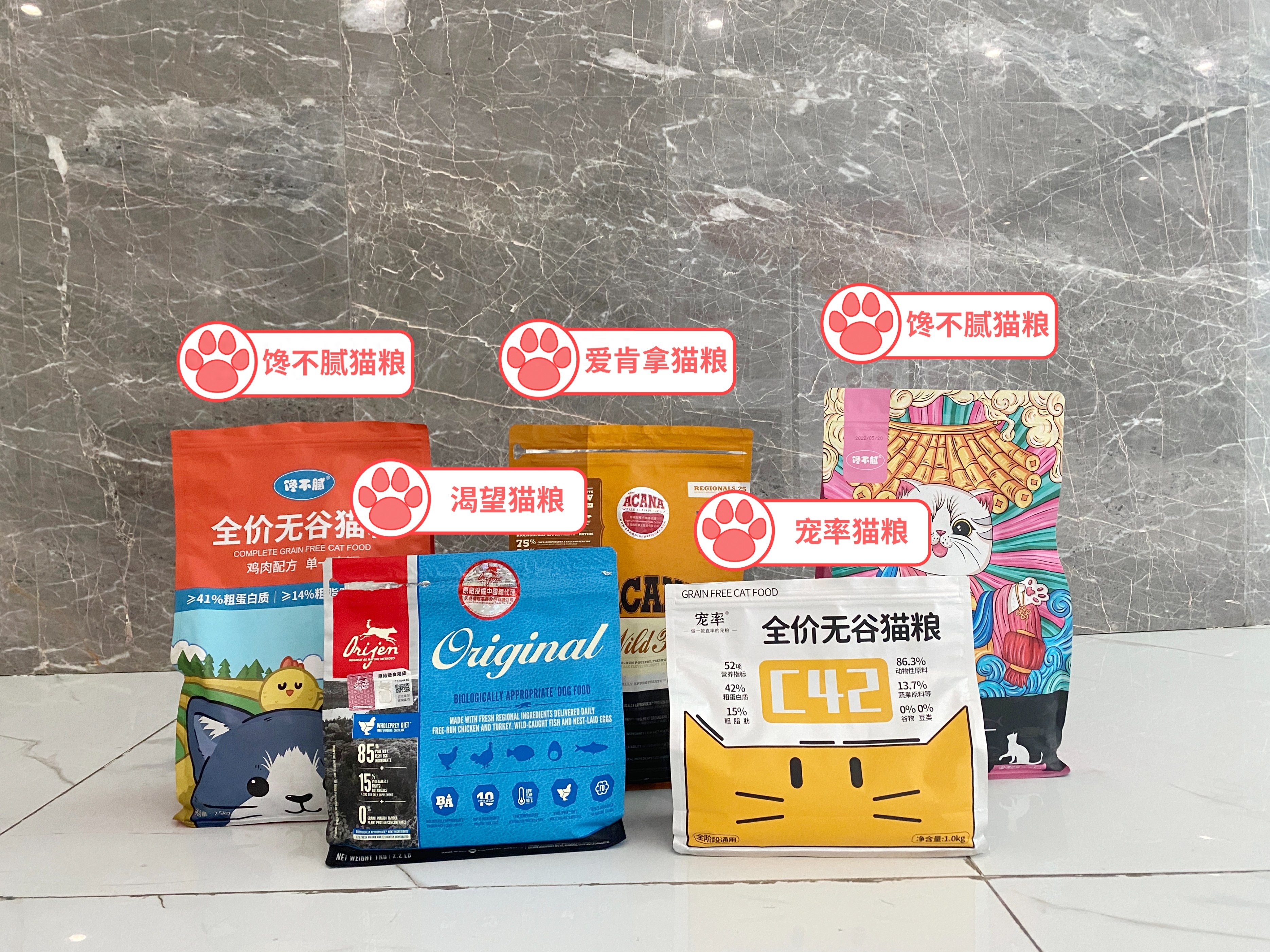 女猫咪高贵洋气的名字有哪些（中国人给猫“取名”气质拿捏得死死的）