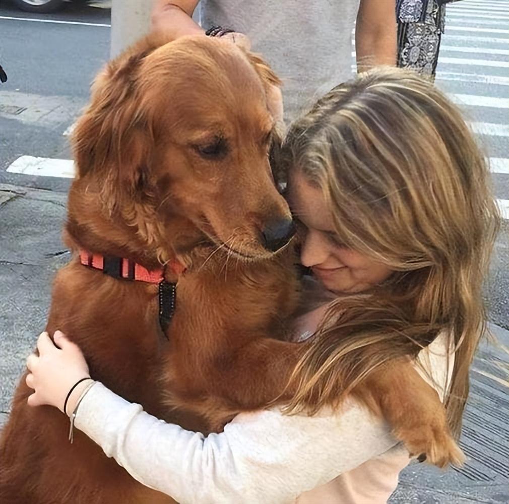 适合女生养的巨型犬（比较好养的巨型犬推荐）