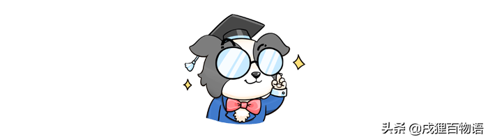 绝育猫咪怎么避免发胖