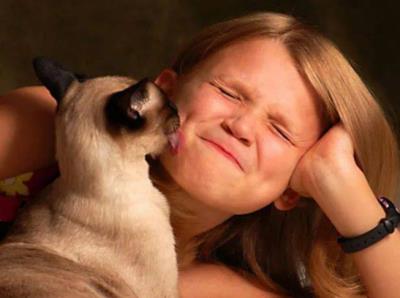 猫咪舔主人的手脚是什么意思