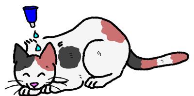 小猫驱虫怎么做（猫咪驱虫详细教程）