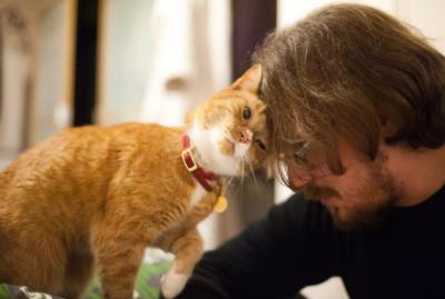 猫生产前的几小时征兆,猫咪临终前的5个征兆