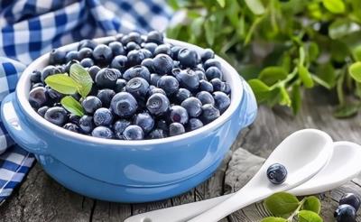 猫咪能吃啥水果（给猫咪吃这7种果蔬）