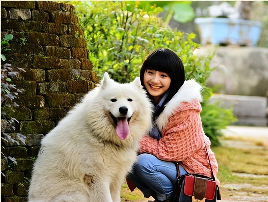 适合女生养的巨型犬（比较好养的巨型犬推荐）