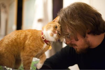 猫咪咕噜声是什么意思（猫咪为何总发出咕噜咕噜的声音）