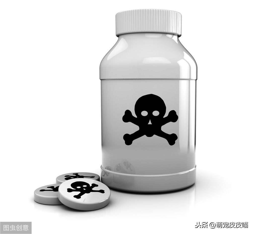 俩月小猫无征兆离世的原因（附：幼猫正常吃喝离奇死亡）